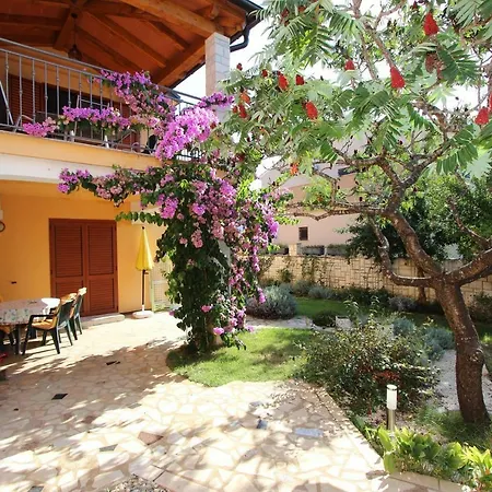 Apartman Malusa *